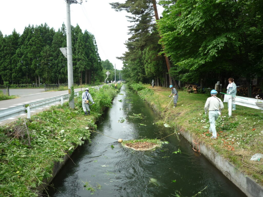 下堰幹線用水路」周辺の草刈り及び清掃活動